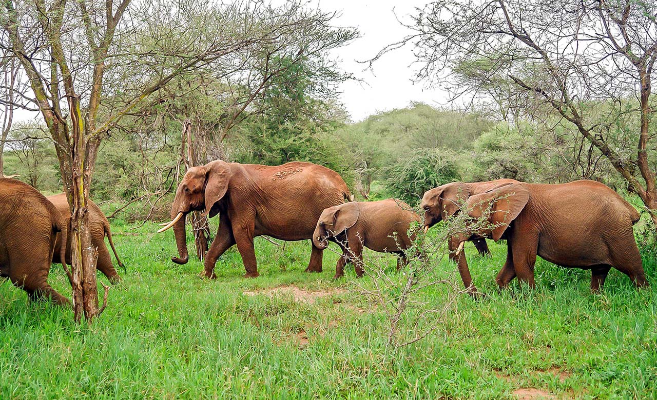 Visit the Loango National Park, one of the most biodiverse areas in the world