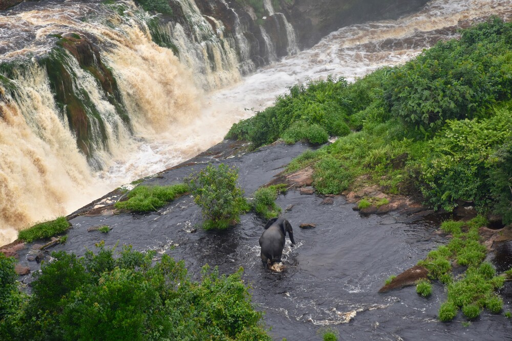 National Parks in Gabon