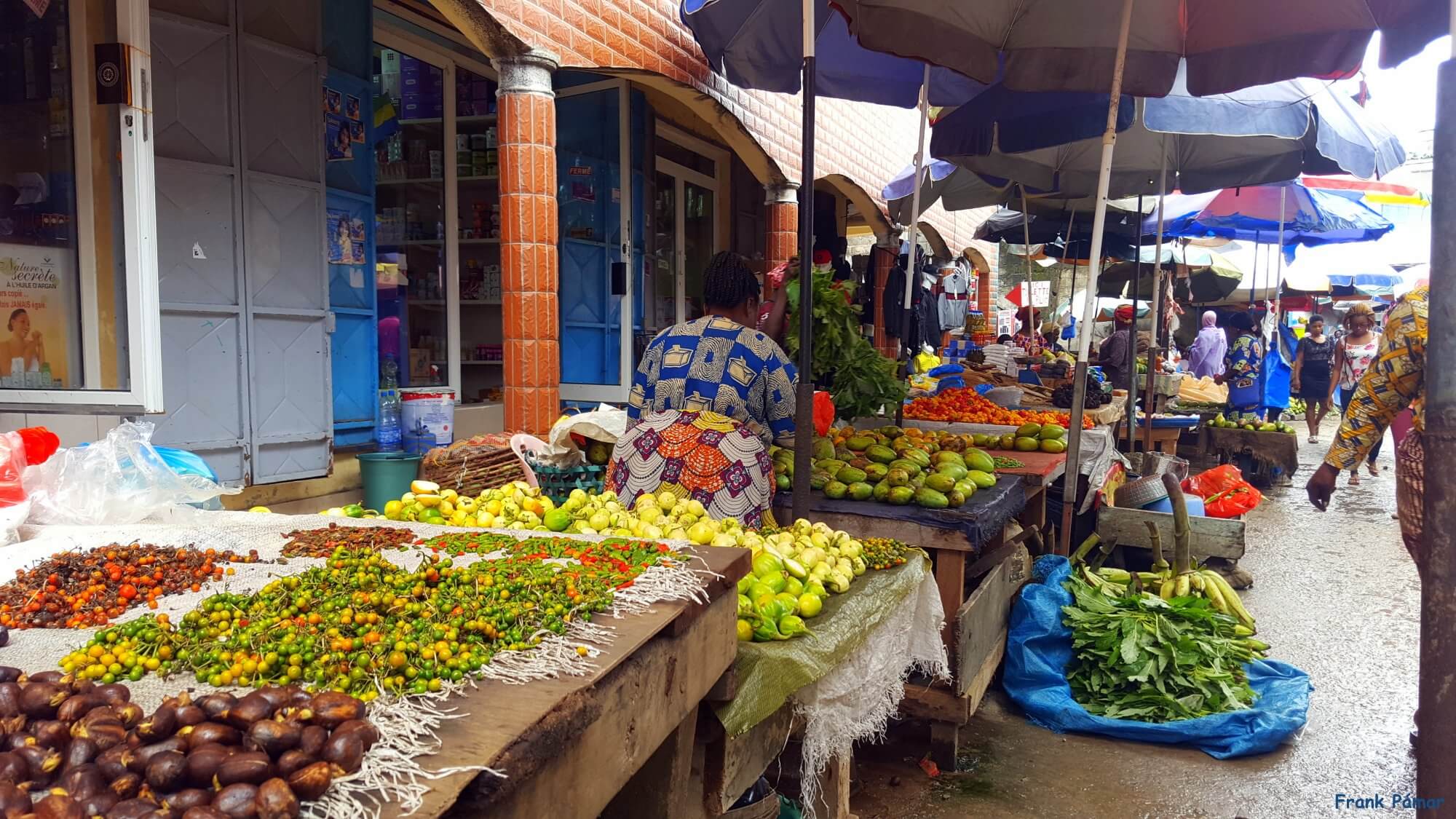 Exploring the Vibrant Mont-Bouët Market - Libreville